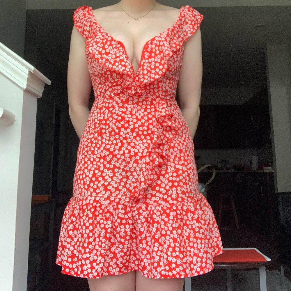 White Fox Boutique Red and White Floral Dress